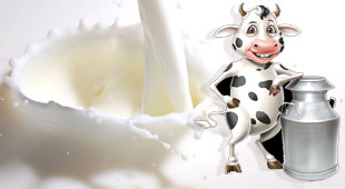 Ample Dairy Events