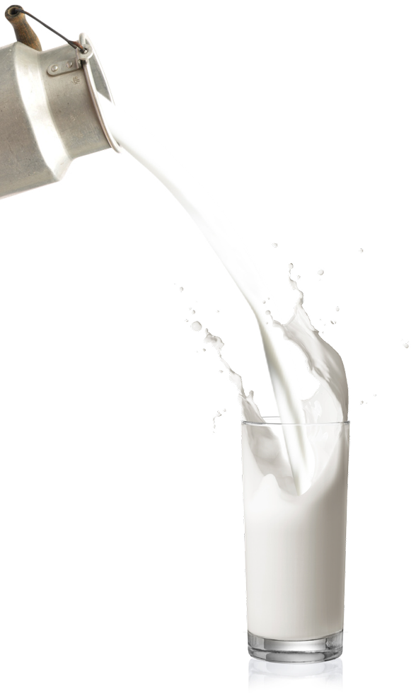Dairy Farm