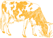 Dairy Farm