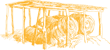 Dairy Farm